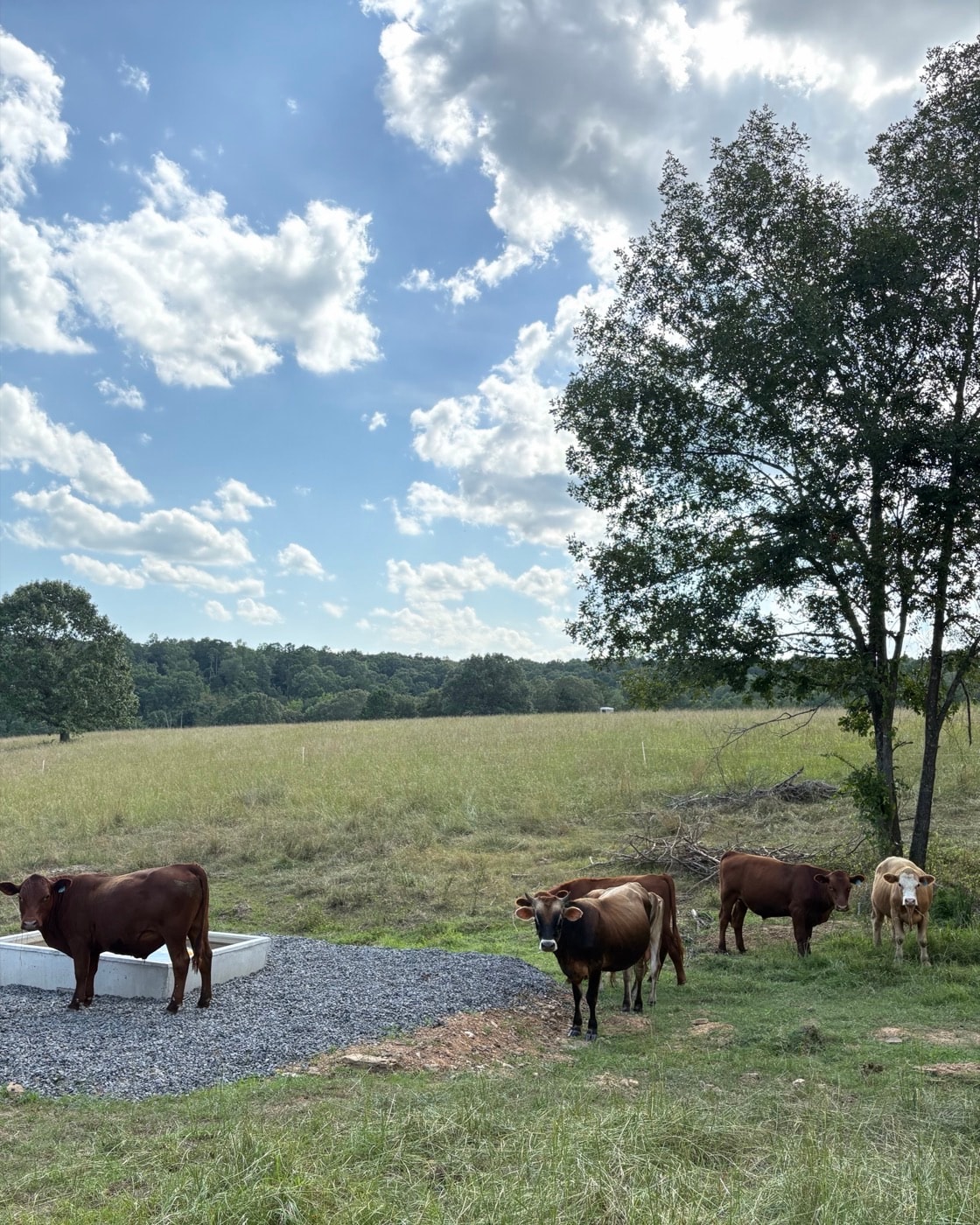 About Ozark Grassfed